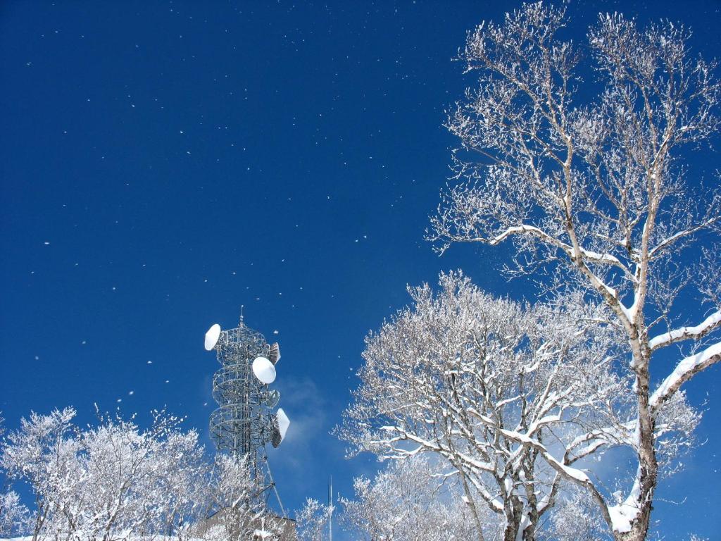 Nozawa Onsen Hotel Екстер'єр фото